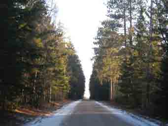 symmetrical photo of a road in the woods of northern Minnesota