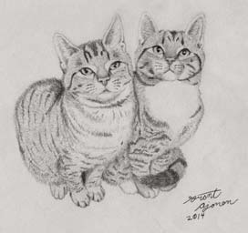 two striped kitties drawing