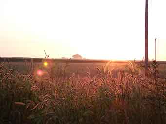 edge of field with long grass and power lines and the sun rise Sep 2012 photo