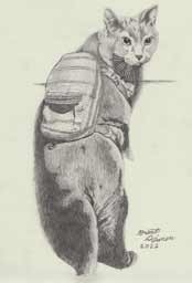portrait drawing of Kylee's friend's cat named Smokey with a backpack